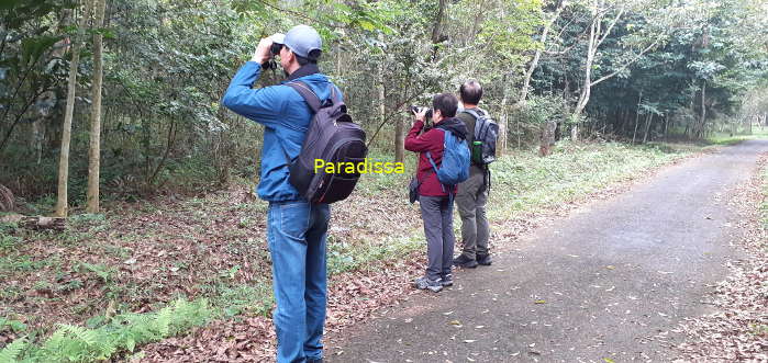 Birdwatching at the Cuc Phuong National Park in Ninh Binh Province, Vietnam