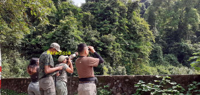 Vietnam Weather in March 2026