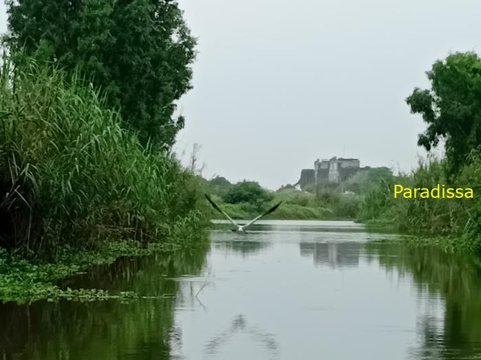 Bird watching at Van Long Wetland Reserve Bird watching at Van Long Wetland Reserve