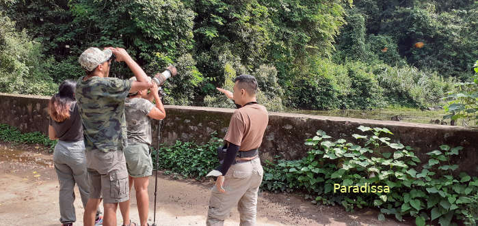 Bird watching at Cuc Phuong National Park