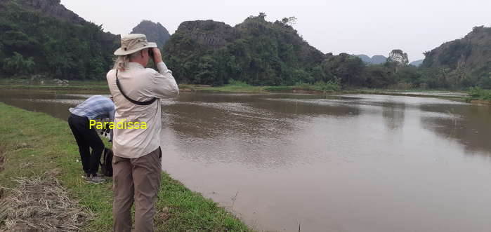 Vietnam Weather in November 2025 Vietnam Weather in November 2025