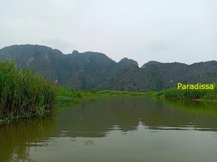 Birding and bird watching at Van Long Wetland Reserve in Ninh Binh, Vietnam