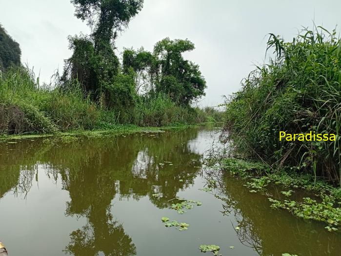 Birding and bird watching at Van Long Wetland Reserve in Ninh Binh, Vietnam