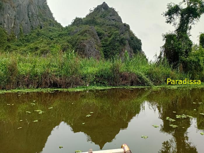 Birding and bird watching at Van Long Wetland Reserve in Ninh Binh, Vietnam