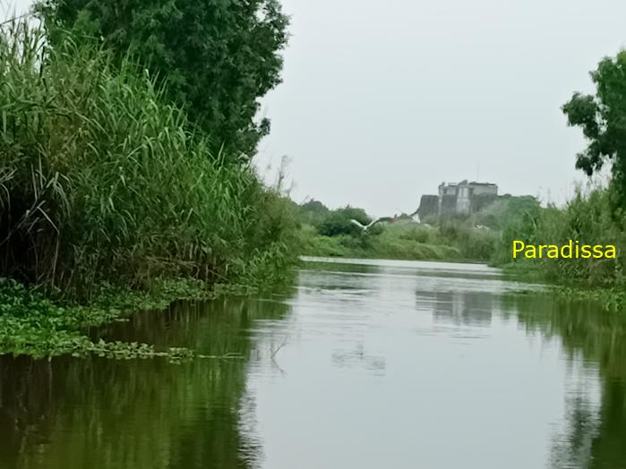 Birding and bird watching at Van Long Wetland Reserve in Ninh Binh, Vietnam