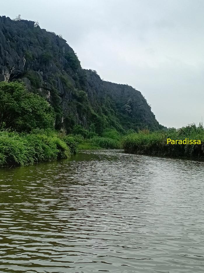 Birding and bird watching at Van Long Wetland Reserve in Ninh Binh, Vietnam
