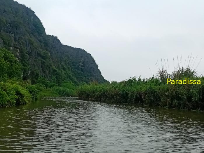 Birding and bird watching at Van Long Wetland Reserve in Ninh Binh, Vietnam