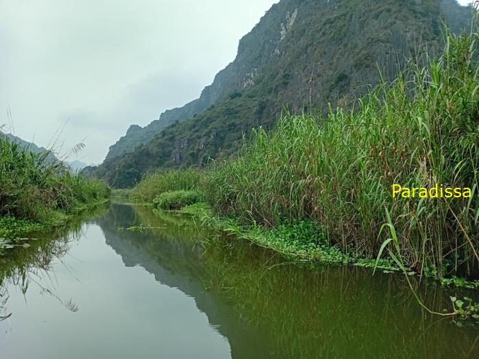 Birding and bird watching at Van Long Wetland Reserve in Ninh Binh, Vietnam