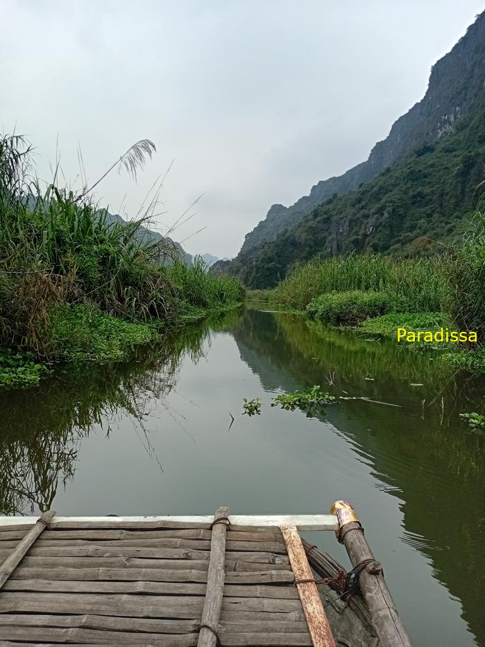 Birding and bird watching at Van Long Wetland Reserve in Ninh Binh, Vietnam