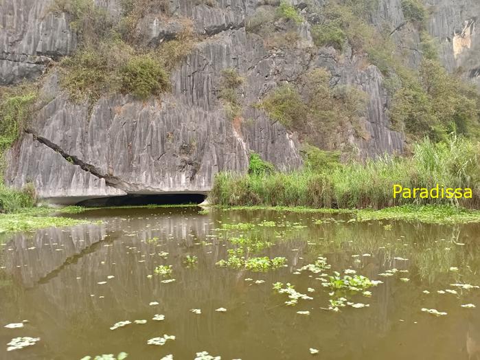 Birding and bird watching at Van Long Wetland Reserve in Ninh Binh, Vietnam