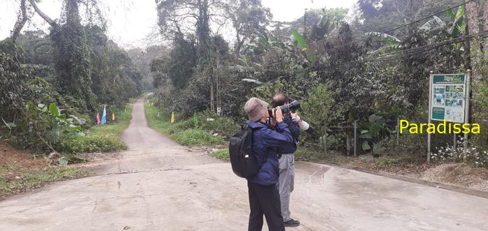 Birdwatching at Cuc Phuong National Park in Ninh Binh, Vietnam