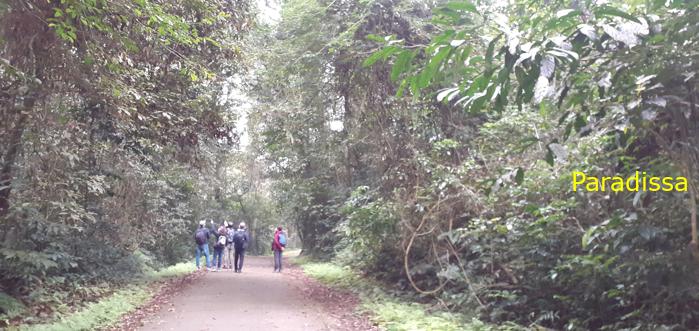 Birdwatching at Cuc Phuong National Park in Ninh Binh, Vietnam