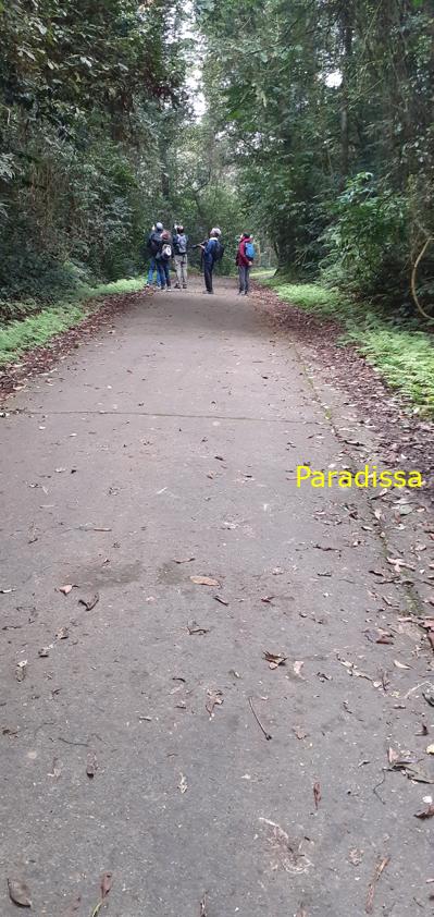 Birdwatching at Cuc Phuong National Park in Ninh Binh, Vietnam