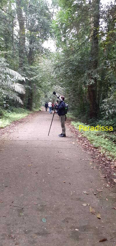 Birdwatching at Cuc Phuong National Park in Ninh Binh, Vietnam