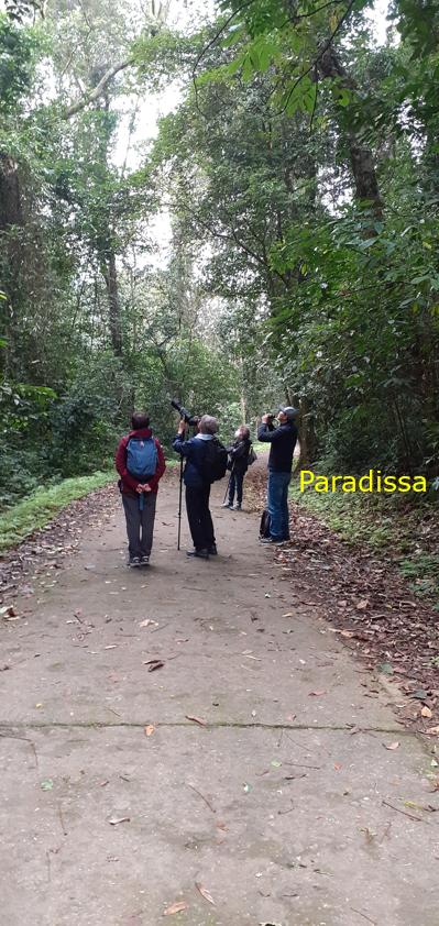 Birdwatching at Cuc Phuong National Park in Ninh Binh, Vietnam