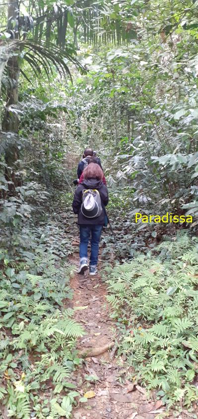 Birdwatching at Cuc Phuong National Park in Ninh Binh, Vietnam