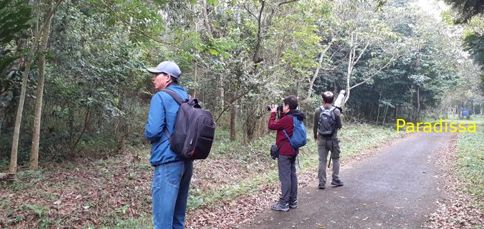 Birdwatching at Cuc Phuong National Park in Ninh Binh, Vietnam