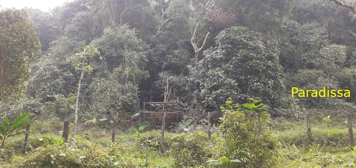 Birdwatching at Cuc Phuong National Park in Ninh Binh, Vietnam