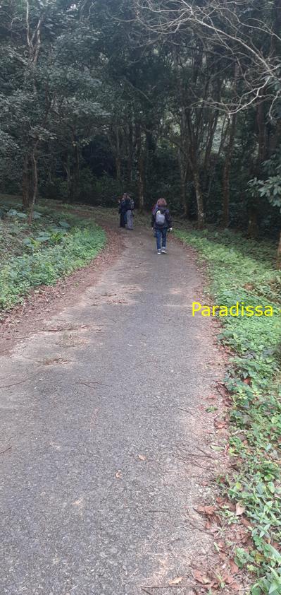 Birdwatching at Cuc Phuong National Park in Ninh Binh, Vietnam