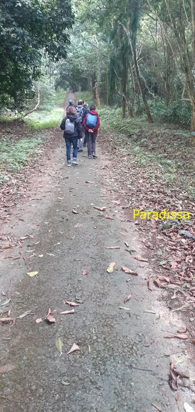 Birdwatching at Cuc Phuong National Park in Ninh Binh, Vietnam