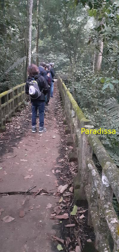 Birdwatching at Cuc Phuong National Park in Ninh Binh, Vietnam
