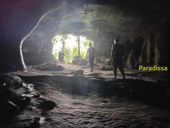Travel guide to Cuc Phuong National Park in Ninh Binh, Vietnam Travel guide to Cuc Phuong National Park in Ninh Binh, Vietnam