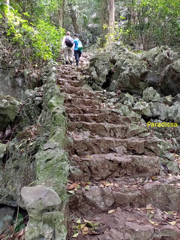 Travel guide to Cuc Phuong National Park in Ninh Binh, Vietnam Travel guide to Cuc Phuong National Park in Ninh Binh, Vietnam