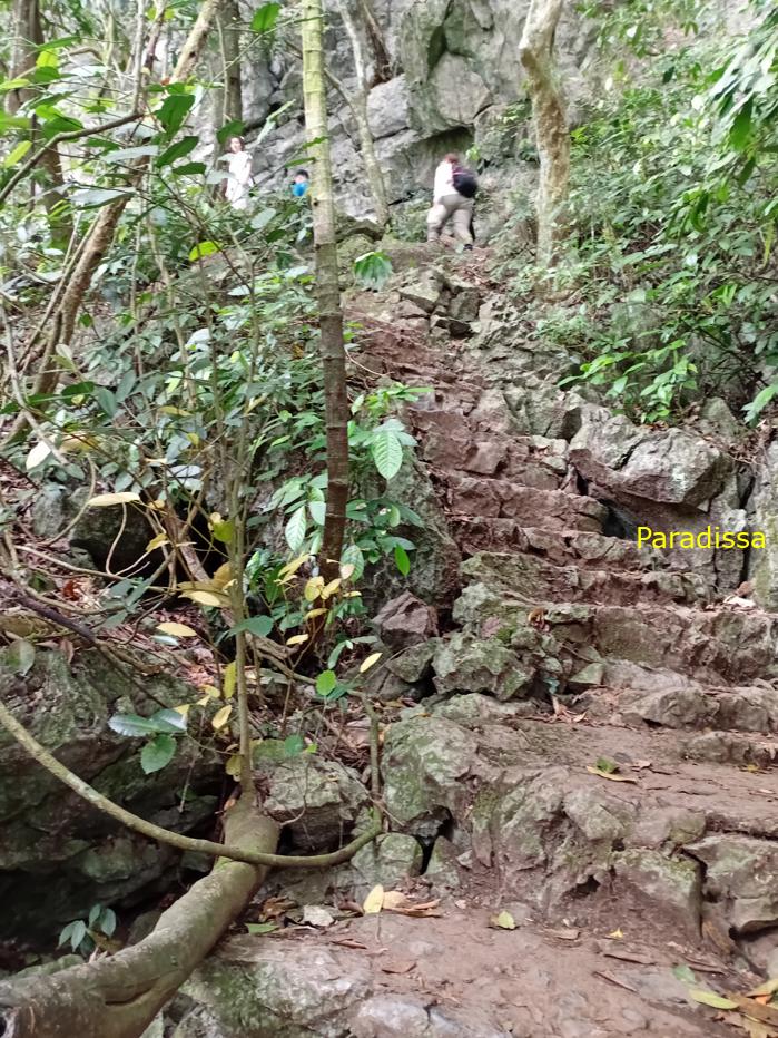 Travel guide to Cuc Phuong National Park in Ninh Binh, Vietnam Travel guide to Cuc Phuong National Park in Ninh Binh, Vietnam