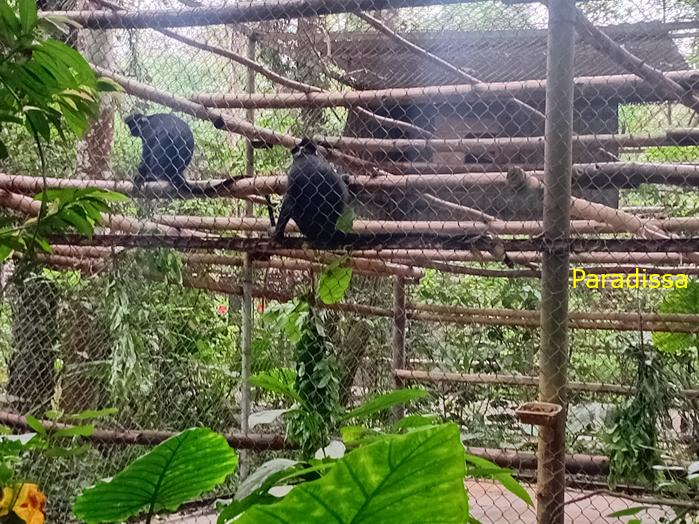Travel guide to Cuc Phuong National Park in Ninh Binh, Vietnam Travel guide to Cuc Phuong National Park in Ninh Binh, Vietnam