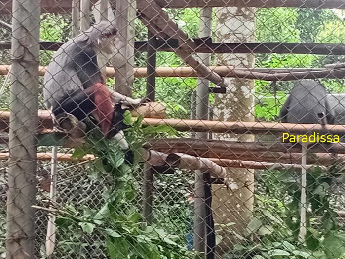 Travel guide to Cuc Phuong National Park in Ninh Binh, Vietnam Travel guide to Cuc Phuong National Park in Ninh Binh, Vietnam
