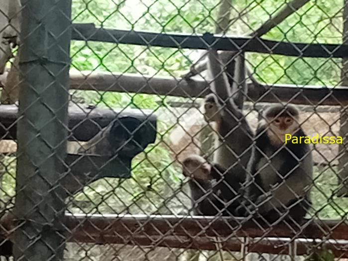Travel guide to Cuc Phuong National Park in Ninh Binh, Vietnam Travel guide to Cuc Phuong National Park in Ninh Binh, Vietnam