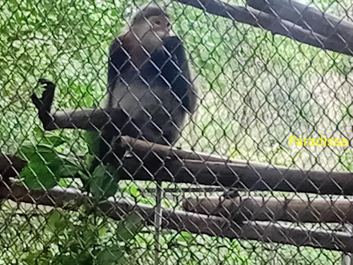 Travel guide to Cuc Phuong National Park in Ninh Binh, Vietnam Travel guide to Cuc Phuong National Park in Ninh Binh, Vietnam