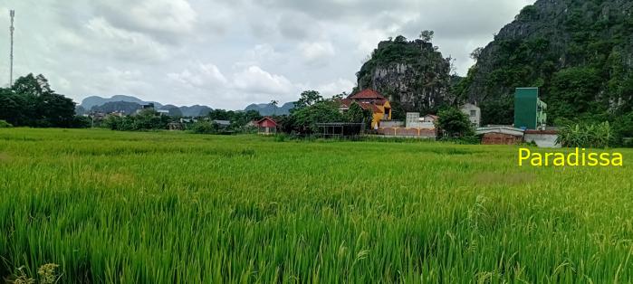 Cycling tour through the heavenly landscape of Ninh Binh, Vietnam