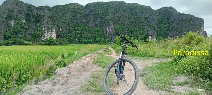 Cycling tour through the heavenly landscape of Ninh Binh, Vietnam