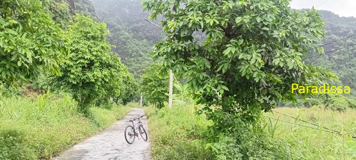 Cycling tour through the heavenly landscape of Ninh Binh, Vietnam