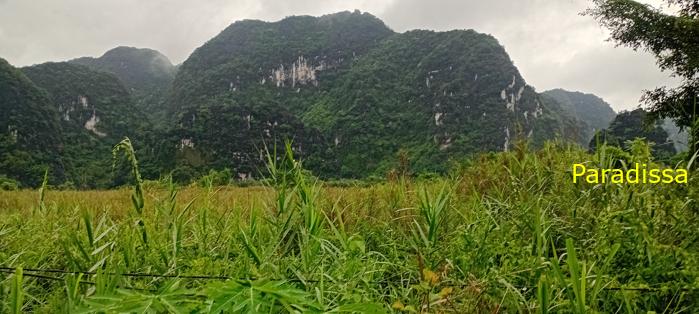 Cycling tour through the heavenly landscape of Ninh Binh, Vietnam