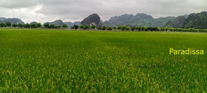 Cycling tour through the heavenly landscape of Ninh Binh, Vietnam