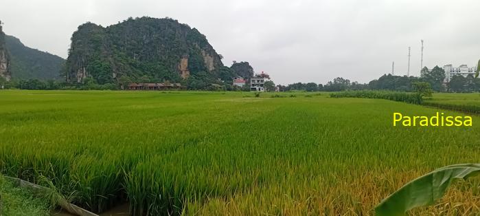 Cycling tour through the heavenly landscape of Ninh Binh, Vietnam
