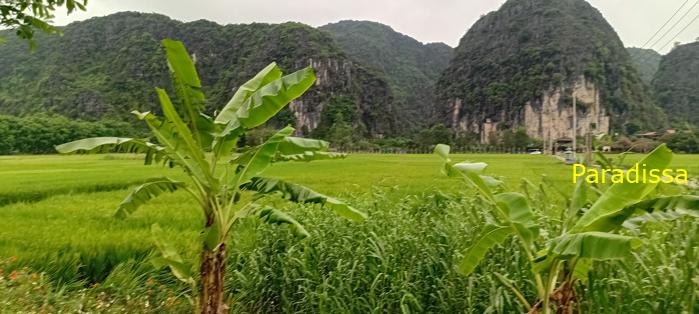 Cycling tour through the heavenly landscape of Ninh Binh, Vietnam