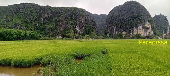 Cycling tour through the heavenly landscape of Ninh Binh, Vietnam