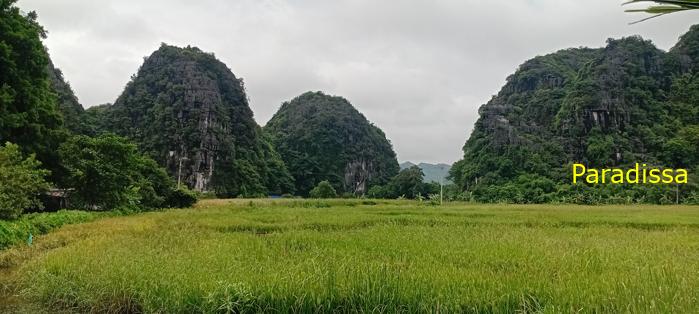 Cycling tour through the heavenly landscape of Ninh Binh, Vietnam