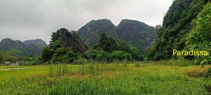 Cycling tour through the heavenly landscape of Ninh Binh, Vietnam