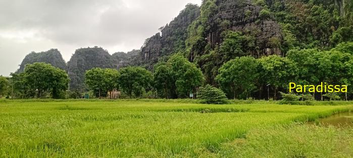 Cycling tour through the heavenly landscape of Ninh Binh, Vietnam