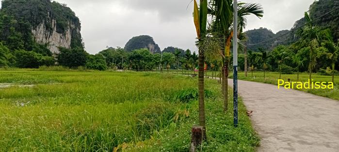 Cycling tour through the heavenly landscape of Ninh Binh, Vietnam