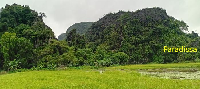 Cycling tour through the heavenly landscape of Ninh Binh, Vietnam