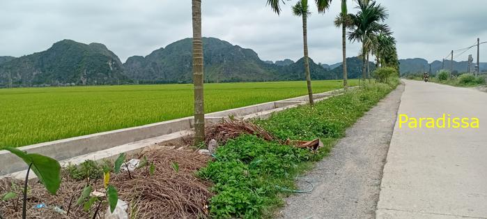 Cycling tour through the heavenly landscape of Ninh Binh, Vietnam