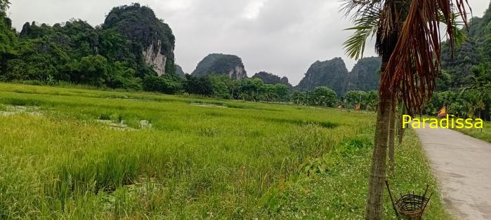 Cycling tour through the heavenly landscape of Ninh Binh, Vietnam