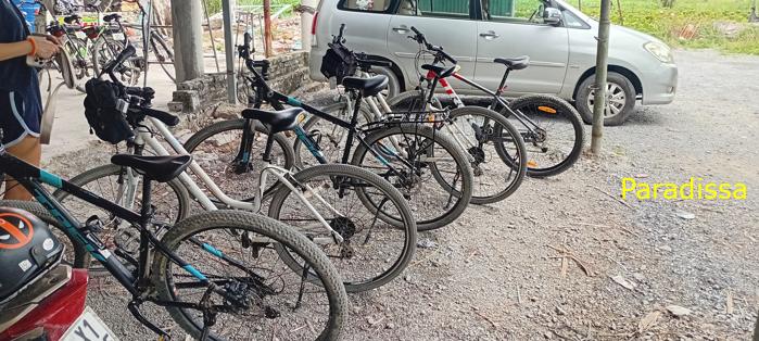 Cycling tour through the heavenly landscape of Ninh Binh, Vietnam