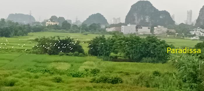 Cycling tour through the heavenly landscape of Ninh Binh, Vietnam