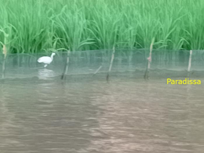 Family holiday in Ninh Binh Vietnam